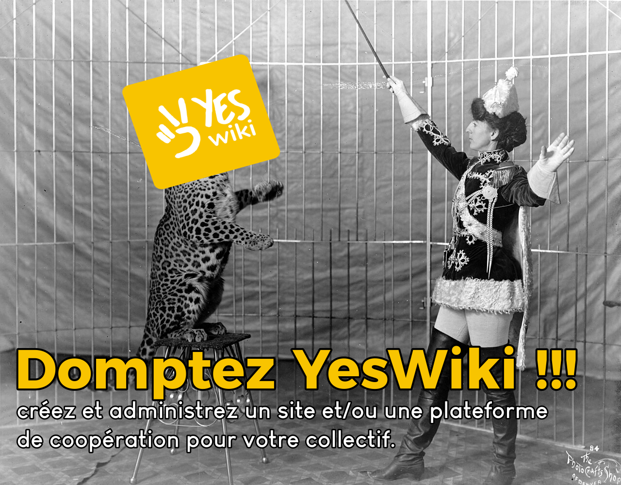 Image d'entête pour illustration de la formation. On y voit une photo en noir et blanc où une femme dompte un léopard. Le tout se passe dans un cirque en 1936. Un logo de